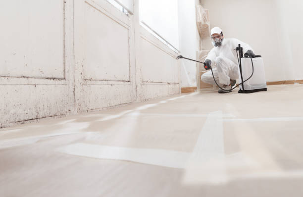 24/7 Emergency Bathroom Mold Removal experts in Glen Rock, PA