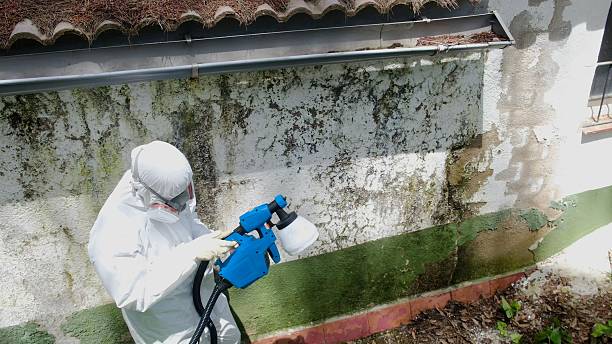 Top rated local Bathroom Mold Removal specialists in Glen Rock, PA